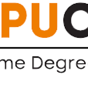 lpu--ONLINE-logo